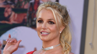 And Now, All the Britney Spears Sources Speak